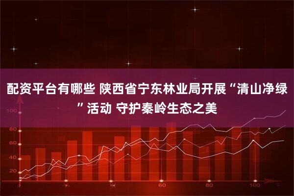 配资平台有哪些 陕西省宁东林业局开展“清山净绿”活动 守护秦岭生态之美